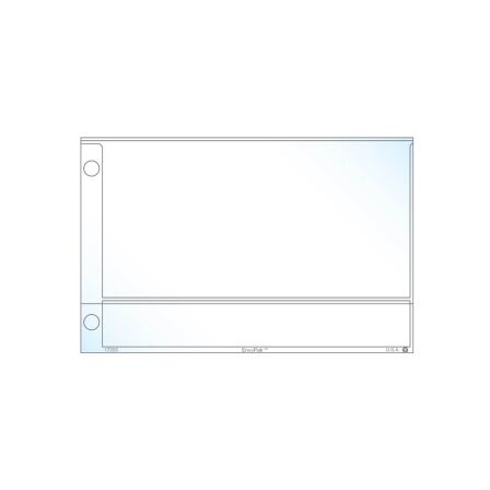 Currency Page Protector - Holds 3" x 6" Inserts - Pack of 20 - Fits Mini Binder currency-sleeves