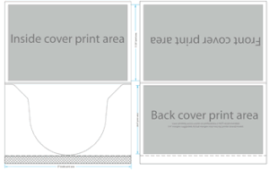 Disc Mailer Template