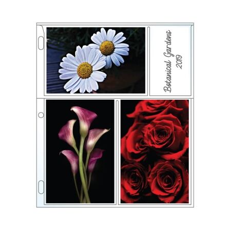 Photo Protector Sheet, Holds 4x6 inch Photos Photo Protector Sheet, Holds 4x6 inch Photos - Image 8