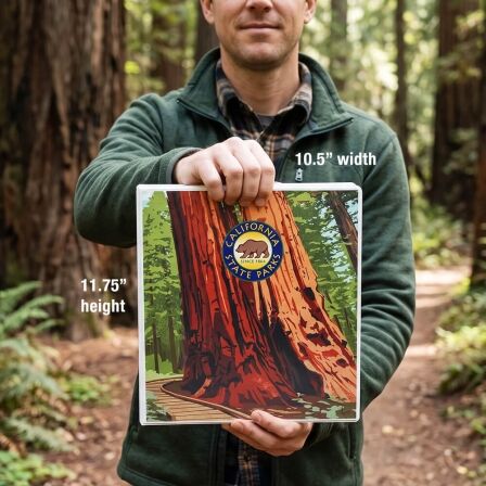 State Park Brochure and Map Storage Kits - Includes 20 Pages Holds 40 Brochures State Park Brochure and Map Storage Kits - Includes 20 Pages Holds 40 Brochures - Image 31